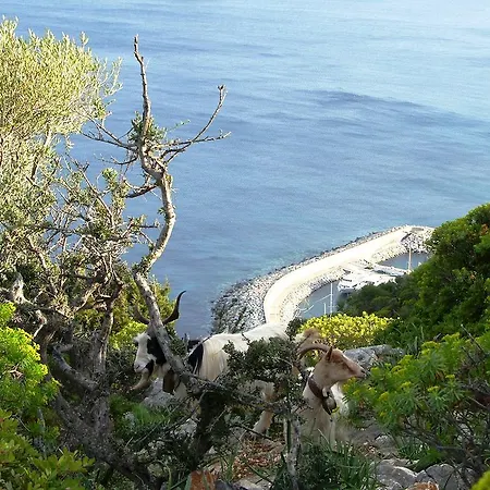Pensjonat L'oasi Santa Maria Navarrese