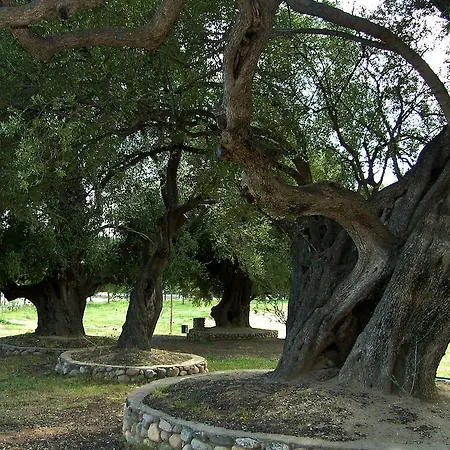 Pensjonat L'oasi Santa Maria Navarrese