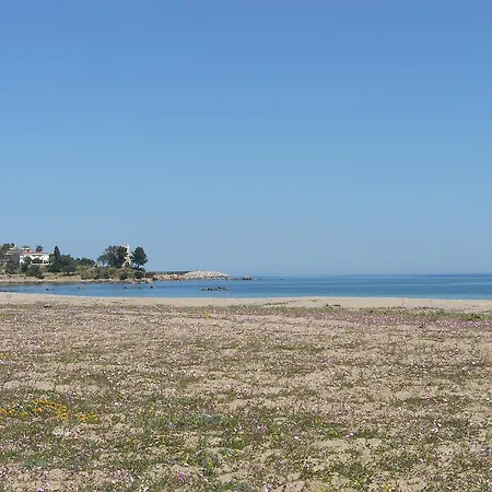 L'oasi